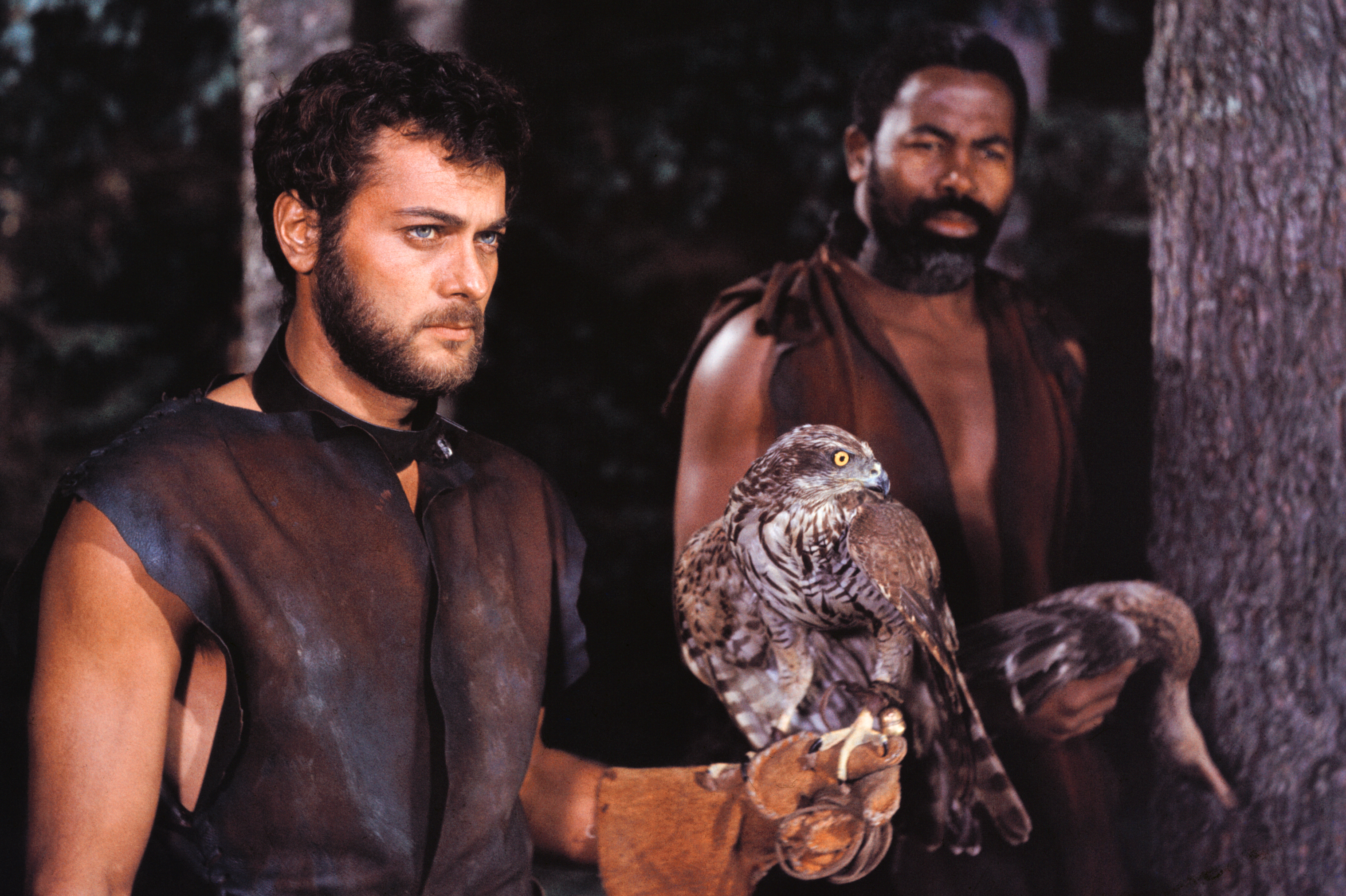 Die Wikinger Film Die Wikinger Film