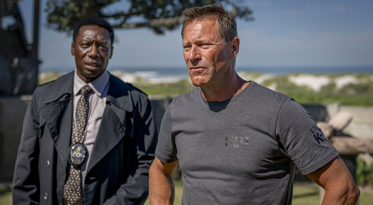 Muzzle: City of Wolves 