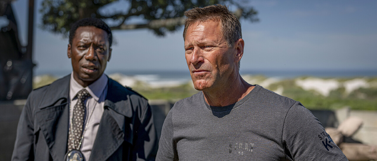 Muzzle: City of Wolves