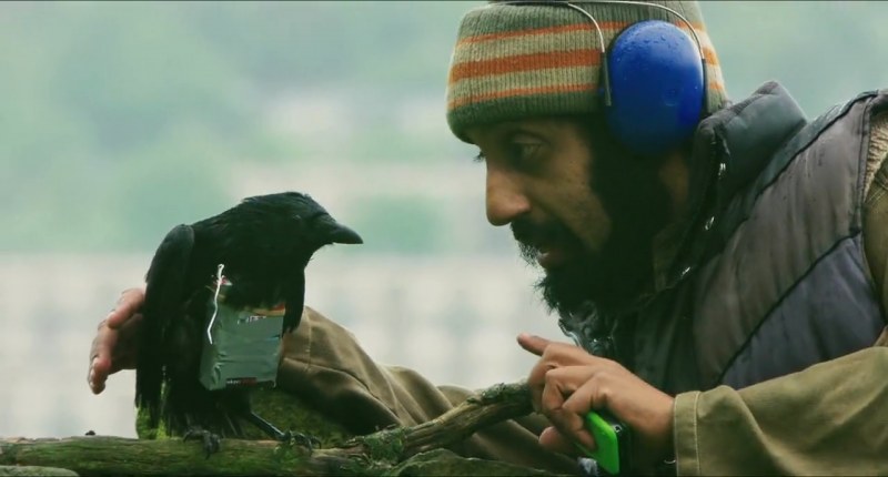 FourLions_4