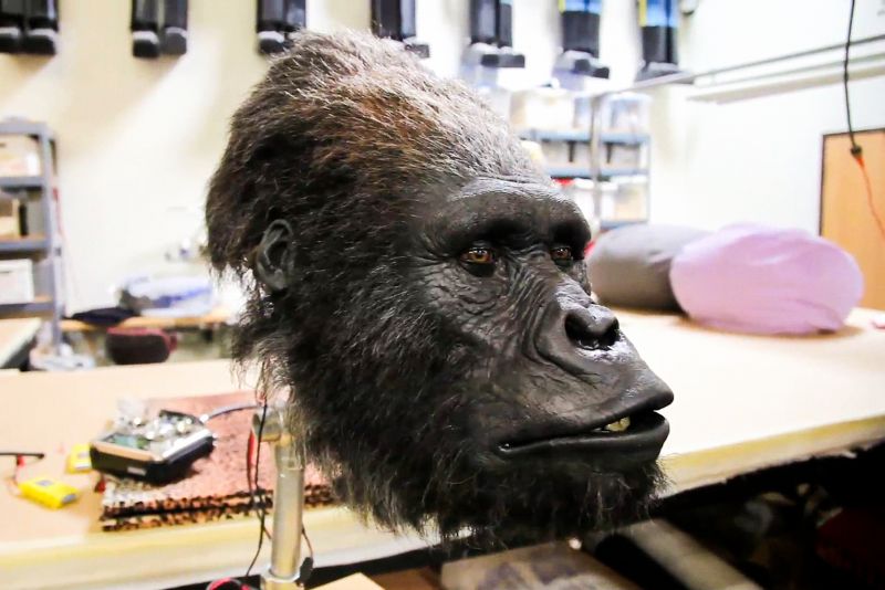 The Frankenstein Complex 11