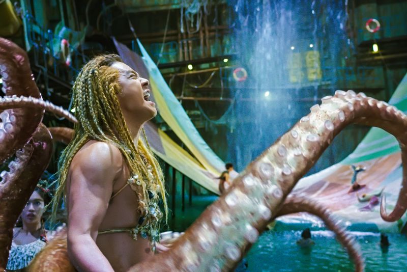 The Mermaid